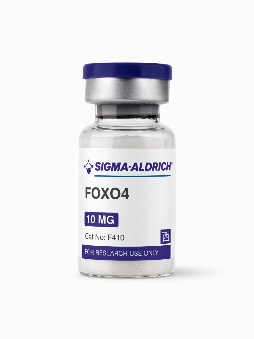 FOXO4 product photo