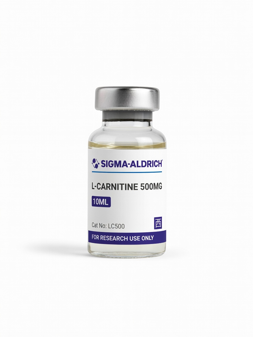 L-Carnitine 500mg product photo